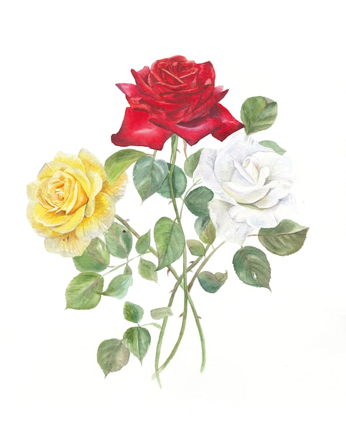 paint semi realistic botanical painting