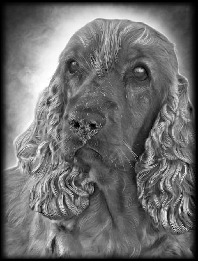 retouch animal photo for engraving