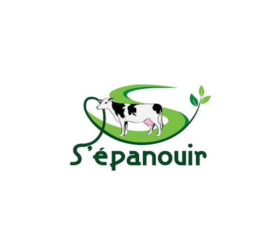 create a professional sleek logo
