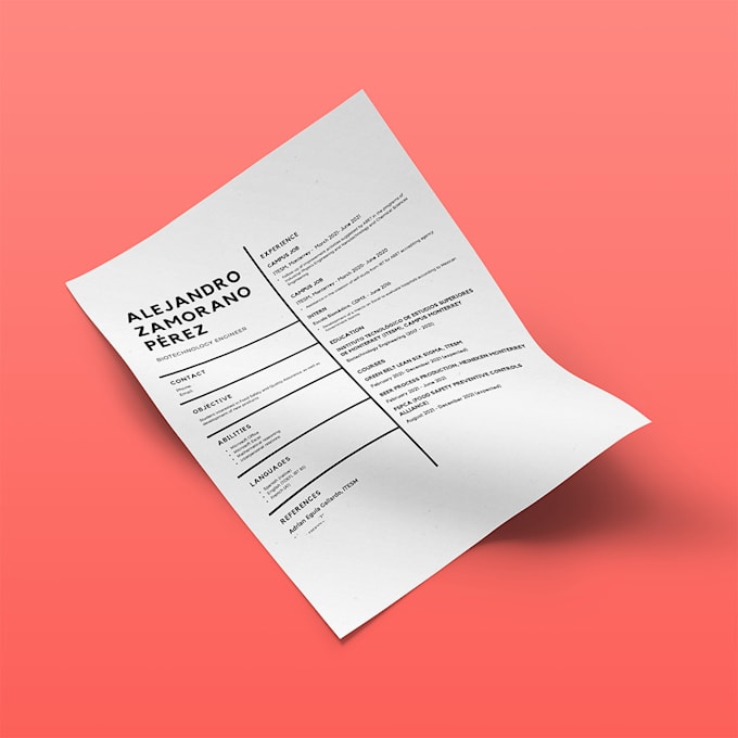 modern minimalistic cv design