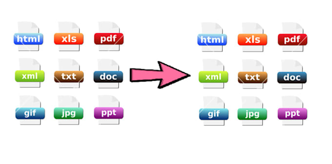 convert any format to any format as indicated in the gig