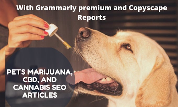 write pets marijuana, cbd, and cannabis SEO articles