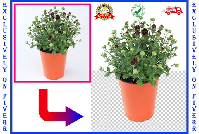 do clipping path, background removal for amazon product listing images
