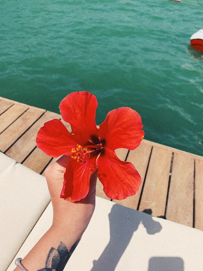 retouch and edit instagram photos with quick delivery