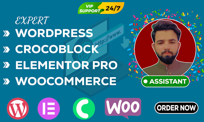 be your wordpress elementor online tutor, consultant, assistant, VA
