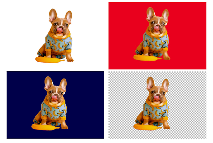 do background transparent removal image resizing cropping