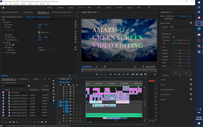 do professional video editing and remove greenscreen