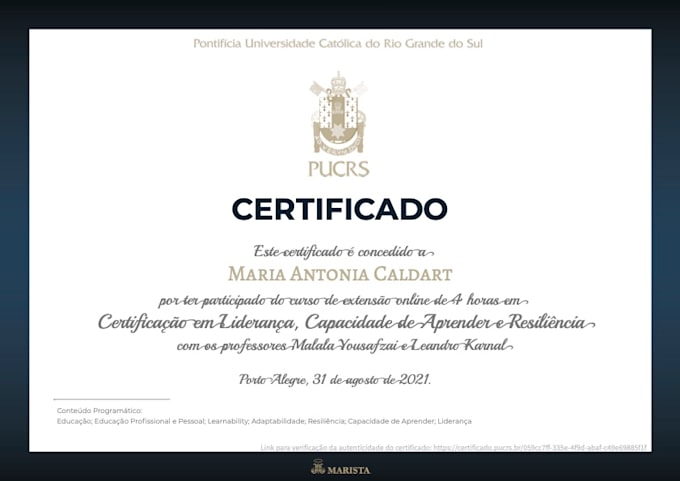 translate, proofread, help you with writing skills