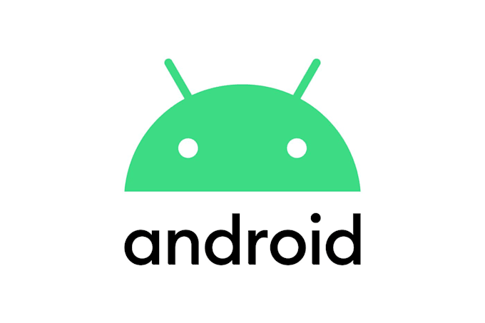 develop flutter mobile app