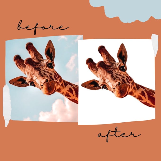 edit your images and videos