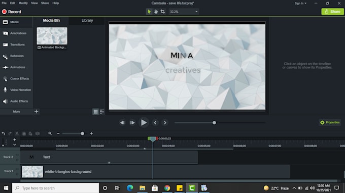 remove background of your video professionally