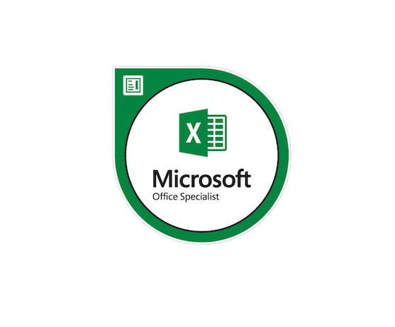 enter your data for spreadsheets and organize via excel