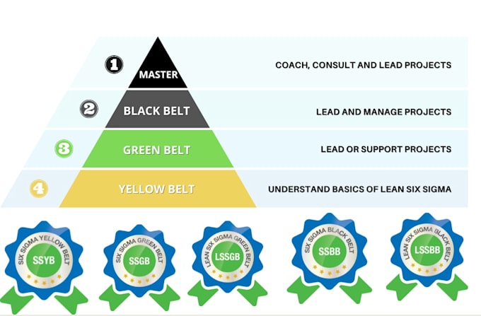 provide six sigma green black lean belt training