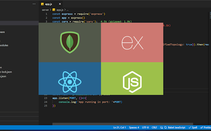 Build a dynamic, interactive website using mern or next js by Snlbaral ...