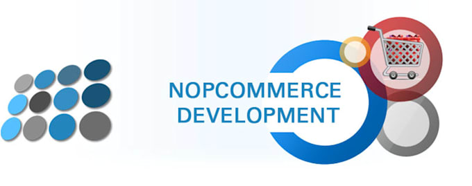 asp dot net nopcommerce development