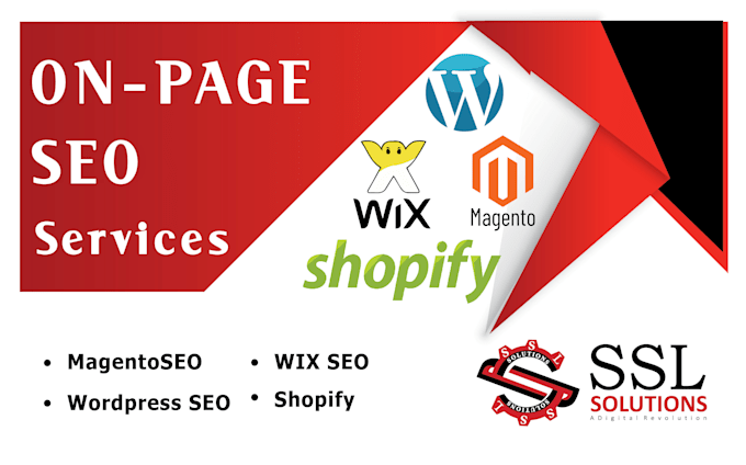do on page seo optimization for wordpress, wix, shopify store