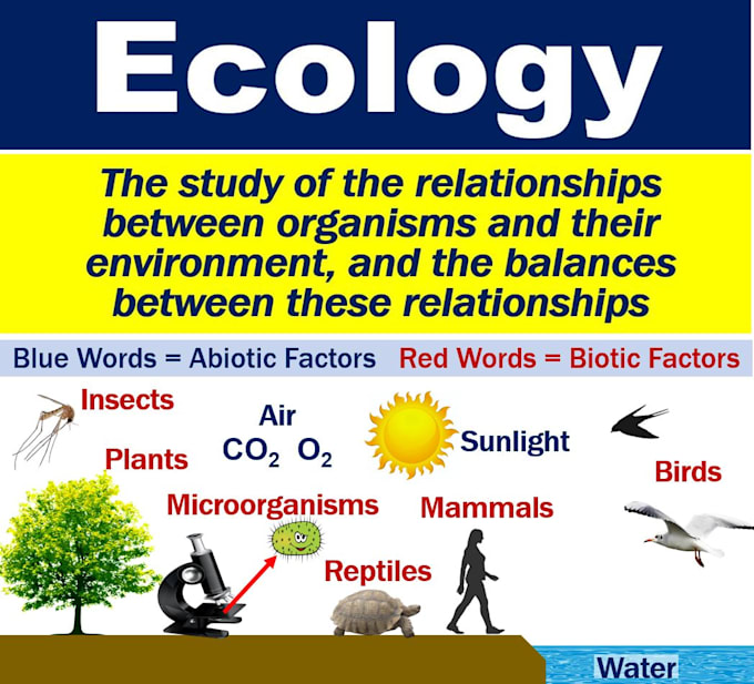offer quality ecology task