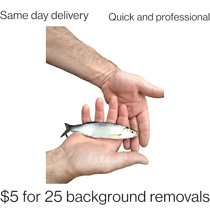 expertly remove your photo background the same day