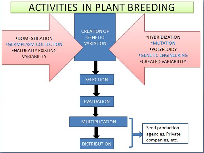 ease science and plant biology for you