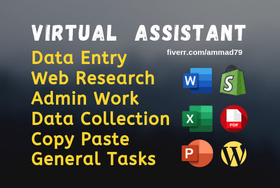 be data entry, web scraping and copy paste, excel data entry