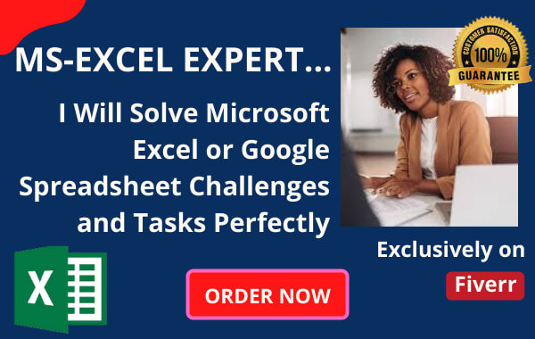 Solve your microsoft excel or google spreadsheet challenges by Mi ...