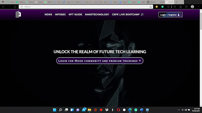 develop modern, clean, responsive wordpress website for you