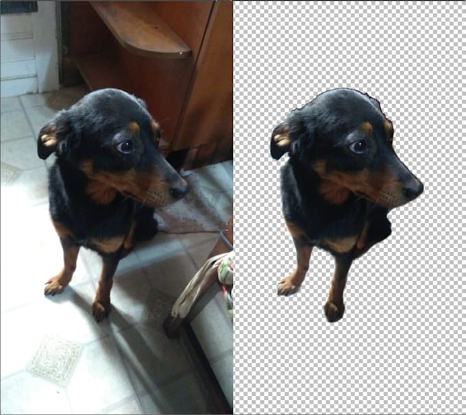 remove background 25 images with white or transparent