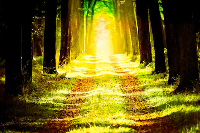 photo editing and effects