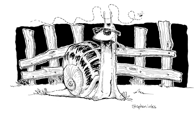 draw you a silly cartoon