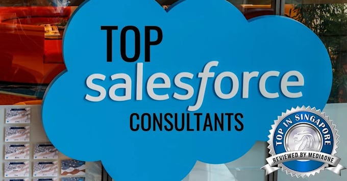 salesforce admin and consultant