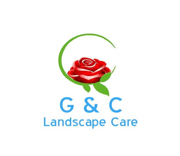 create my master piece logo  in 1 day
