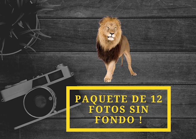 remover fondos de imágenes