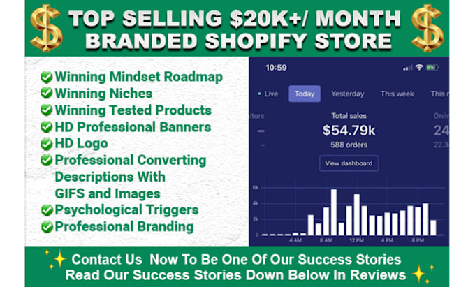 I will build an automated dropshipping shopify store or shopify website