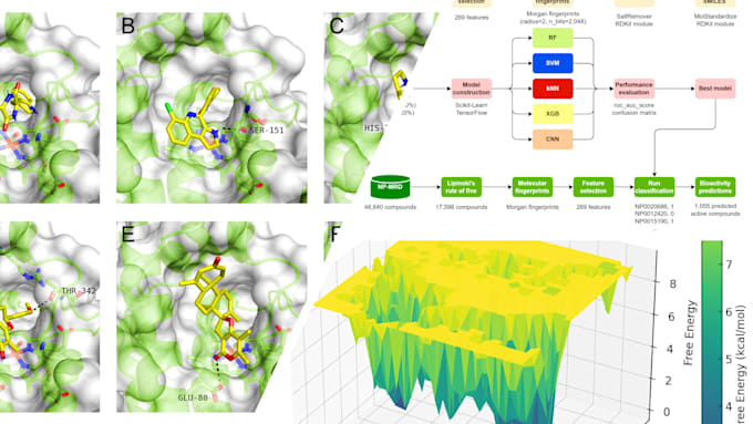perform qsar, molecular docking, and MD simulations