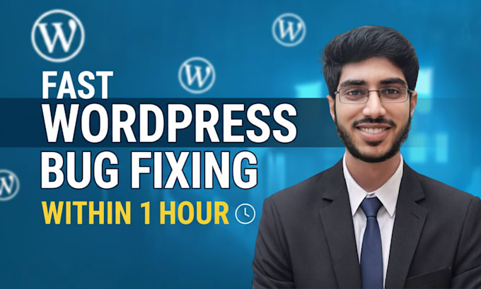 fix wordpress bug, wordpress error, theme plugin bug