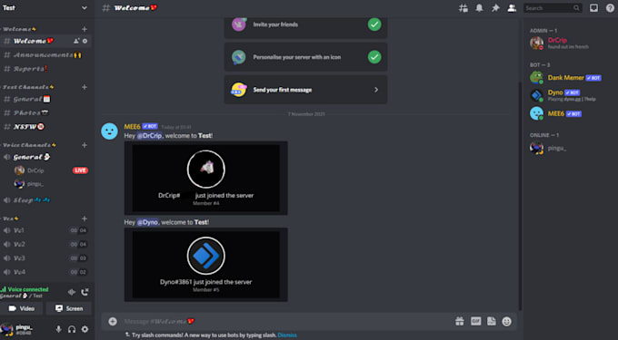 make a discord server for you and meet you custom requests