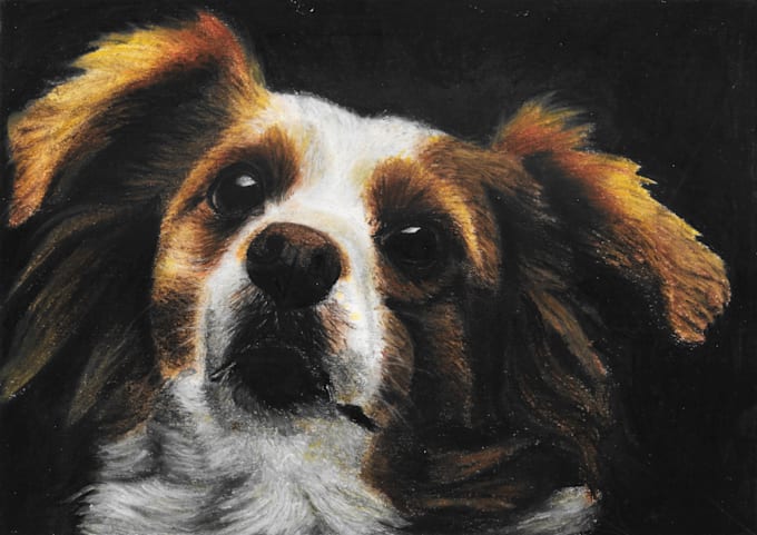 draw custom portraits for your pet