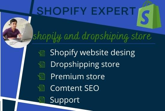 create several types of shopify or dropshipping store design