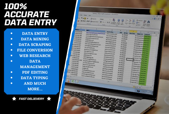 Do an organized work of data entry with 100 percent customer ...