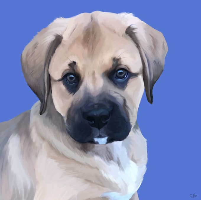 create a digital portrait of your pet