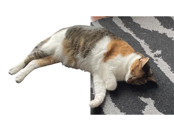 remove the background of images