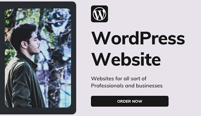 build responsive wordpress website design
