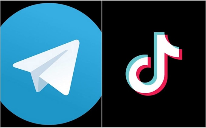 backup a tiktok user profile to your telegram channel