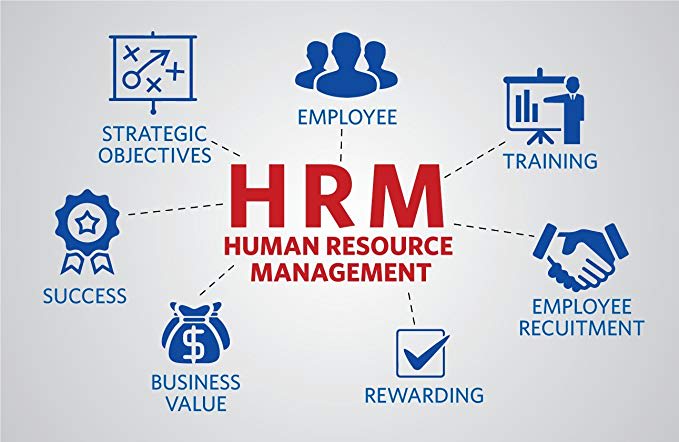 offer consultation on human resource management