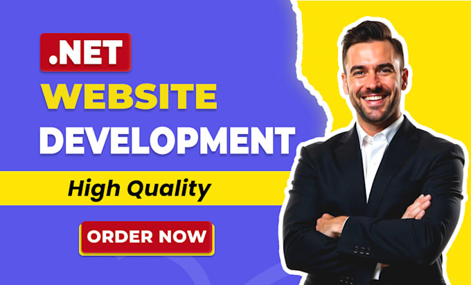 develop professional web applications using dot net