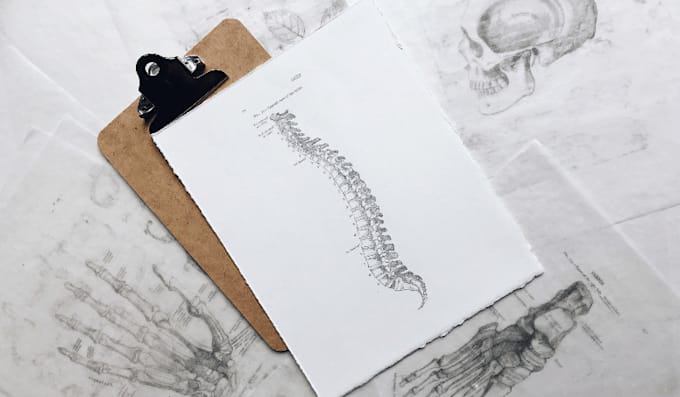 new anatomy assignments for university