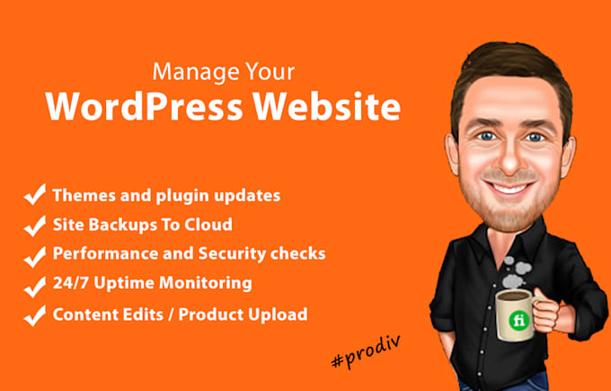 provide monthly maintenance support for wordpress website
