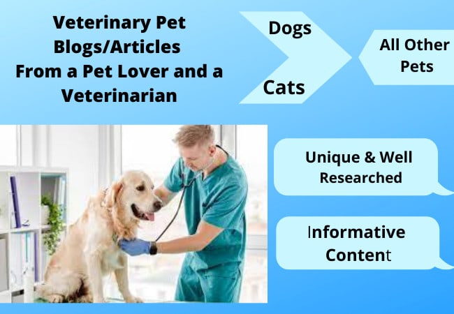 write professional veterinary pet articles and dog blog