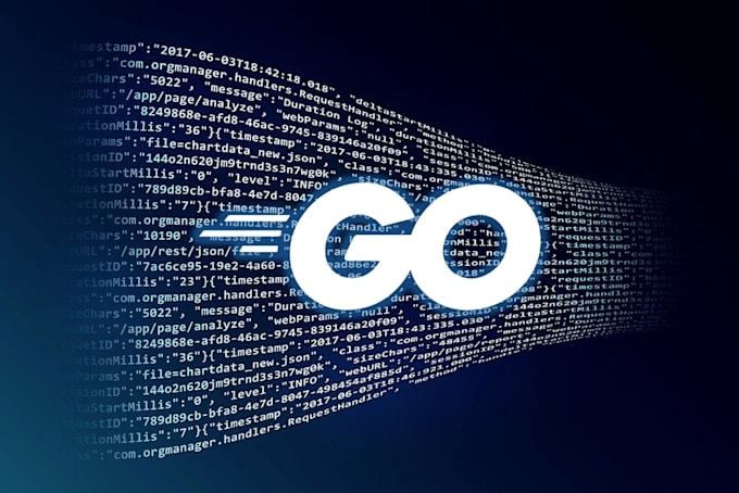 fix all your bugs and issues in go or golang code