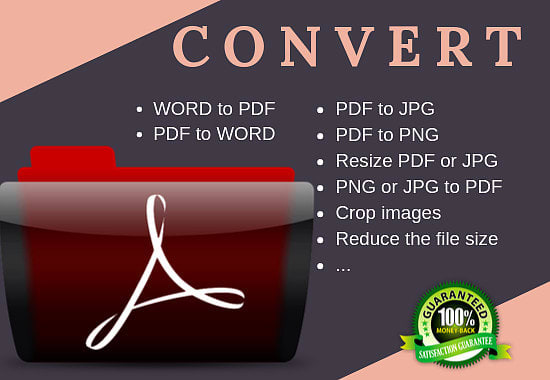convert PDF to word
